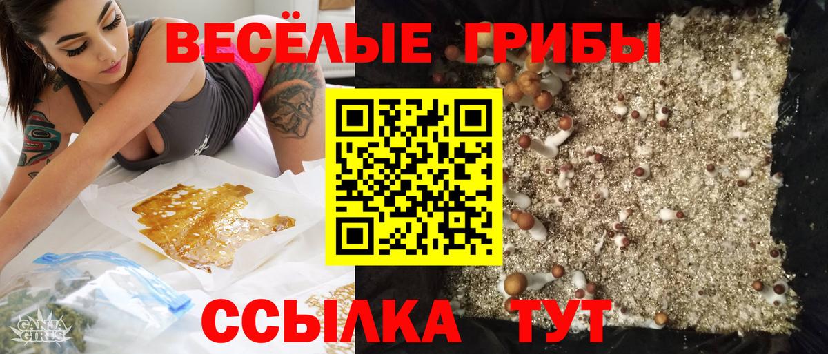 Ногинск  Галлюциногенные грибы прущие грибы  Вход с VPN 