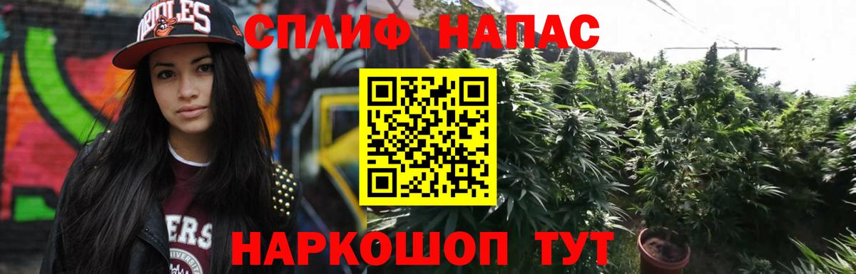 Канабис гибрид Ногинск